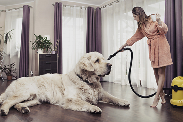 Living with a dog: Cleaning Tips 101 for all dog owners
