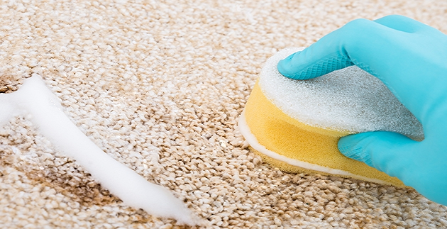 How to clean carpet – the easy (and cheap!) way