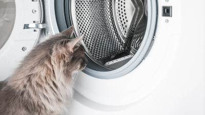 The Ultimate Step-By-Step Guide On How To Clean Your Washing Machine Effectively